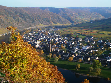 Segway - Touren in Klotten & Umgebung