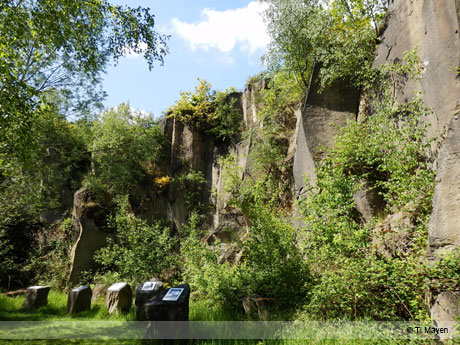 Segway - Touren in Mayen & Umgebung